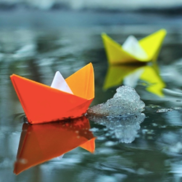 Meet your Posher, Gabiota - Picture 1 of 1